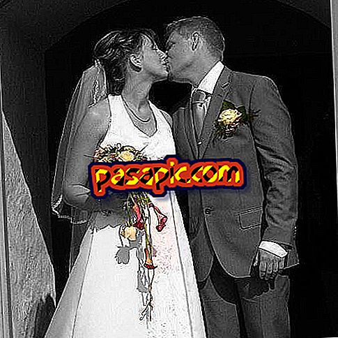 كيف تتزوج في دير سان جيرونيمو ريال - حفلات الزفاف والحفلات