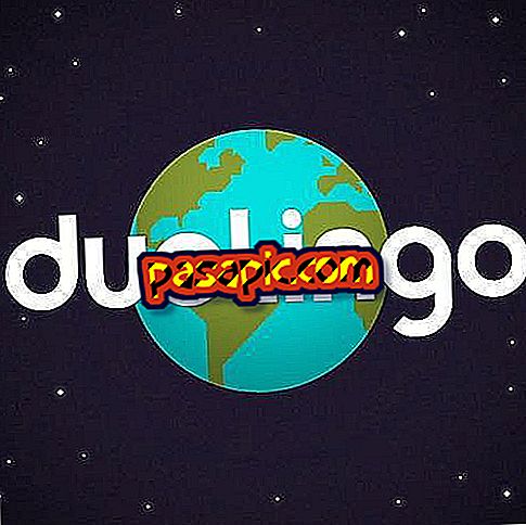 Was ist Duolingo und wie funktioniert es?