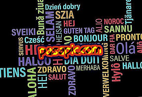 Vilka är de mest talade språken i världen