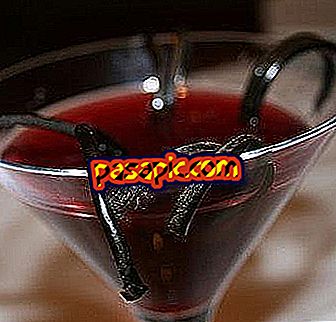 How to make vodka drinks on Halloween - Parties and celebrations