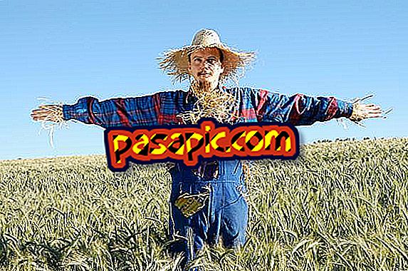 How to make a homemade scarecrow costume for Carnival