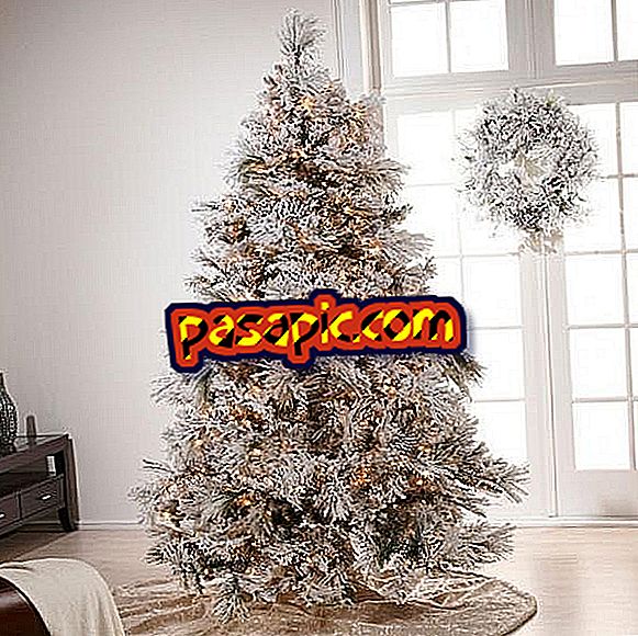 Elegantní vánoční stromky - strany a oslavy