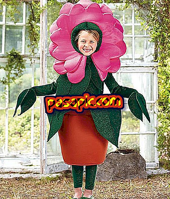 Come fare un costume da fiore - feste e celebrazioni