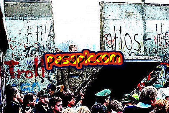 Syyt Berliinin muurin luomiseen - koulutus
