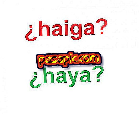 Kā jūs rakstāt haya vai haiga