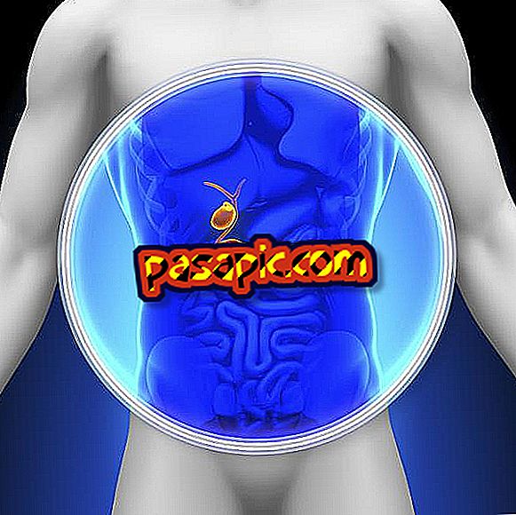 Care este funcția pancreasului