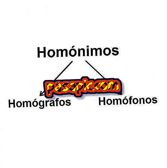 Differences between homonyms, homographs and homophones