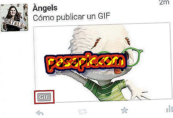 How to publish a GIF on Twitter