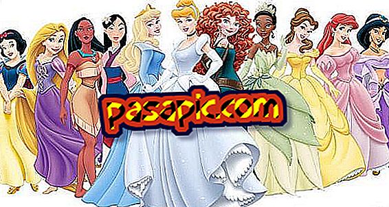 What are the Disney princesses called? - toys and games