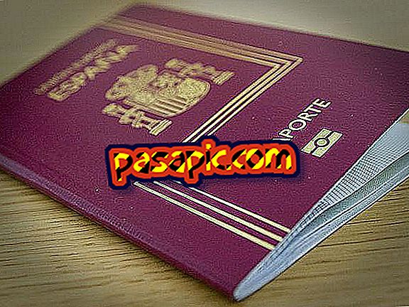 Jak obnovit pas - právní