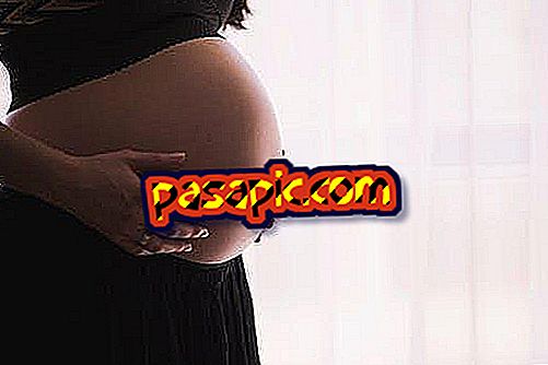Homoparental pere asendus rasedus: Mis on seaduslik sihtkoht?