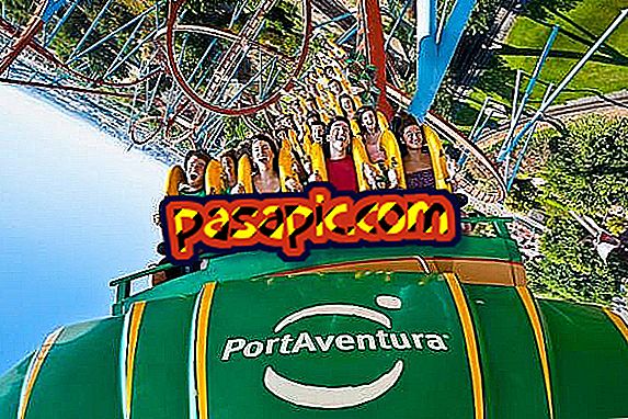 What are the best attractions of Port Aventura - travels