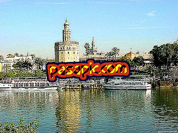 Sevilla'ya bir gezi planı nasıl